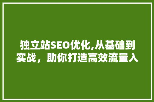 独立站SEO优化,从基础到实战，助你打造高效流量入口