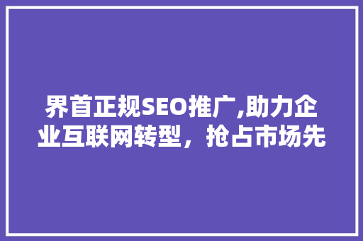 界首正规SEO推广,助力企业互联网转型，抢占市场先机