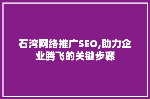 石湾网络推广SEO,助力企业腾飞的关键步骤