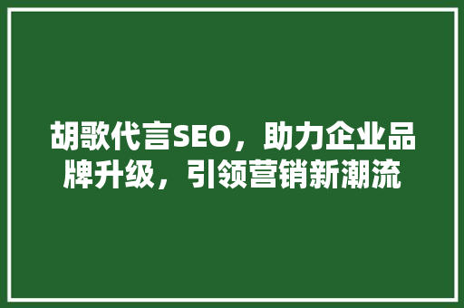 胡歌代言SEO，助力企业品牌升级，引领营销新潮流