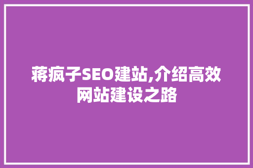 蒋疯子SEO建站,介绍高效网站建设之路