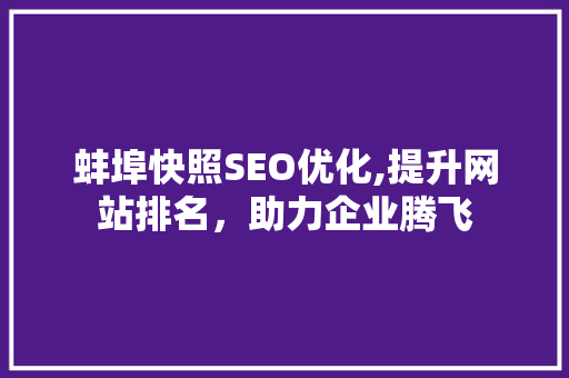 蚌埠快照SEO优化,提升网站排名，助力企业腾飞