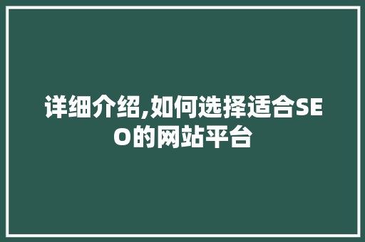详细介绍,如何选择适合SEO的网站平台
