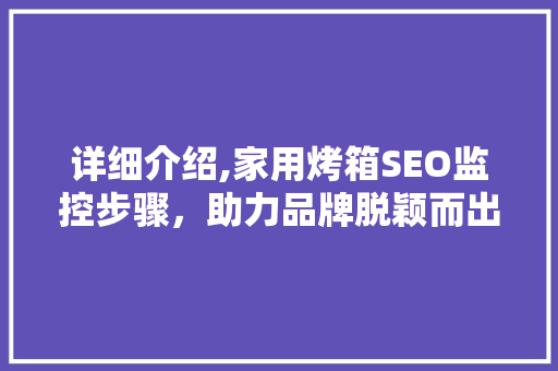 详细介绍,家用烤箱SEO监控步骤，助力品牌脱颖而出