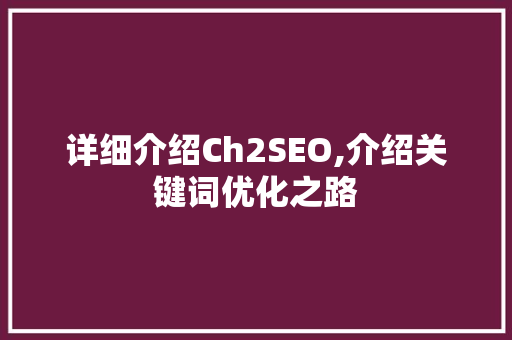 详细介绍Ch2SEO,介绍关键词优化之路