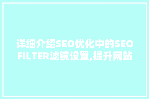 详细介绍SEO优化中的SEOFILTER滤镜设置,提升网站排名的方法