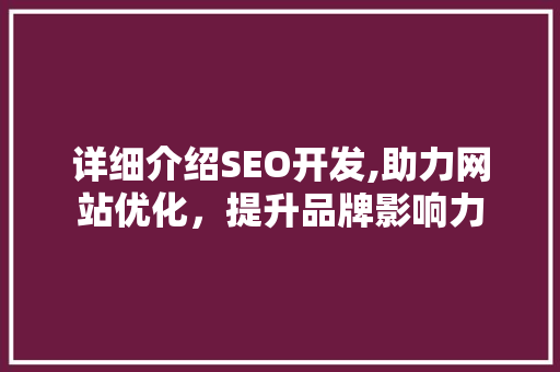 详细介绍SEO开发,助力网站优化，提升品牌影响力