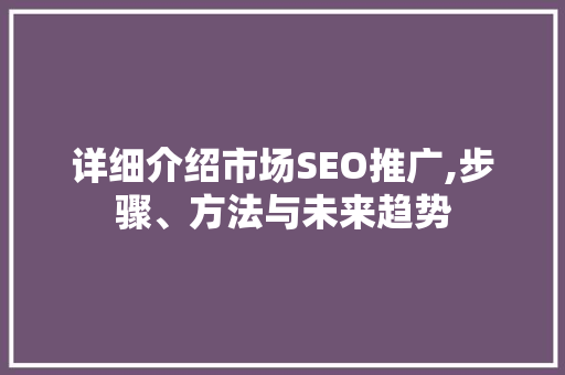 详细介绍市场SEO推广,步骤、方法与未来趋势