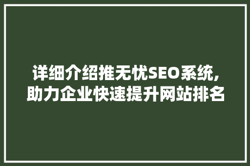 详细介绍推无忧SEO系统,助力企业快速提升网站排名与流量
