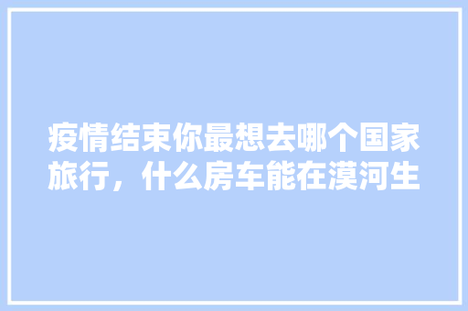 6L代码背后的智慧编程之美