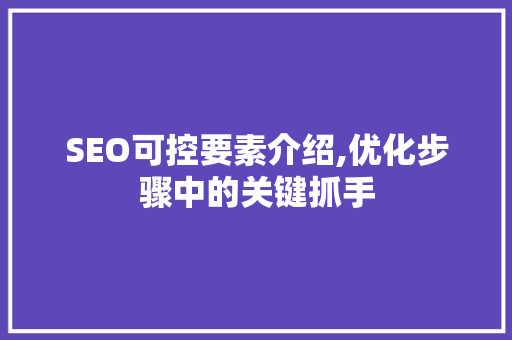 SEO可控要素介绍,优化步骤中的关键抓手