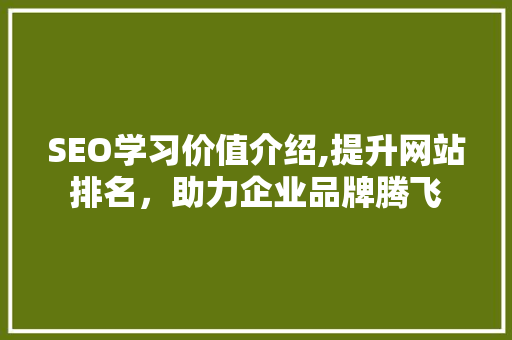 SEO学习价值介绍,提升网站排名，助力企业品牌腾飞
