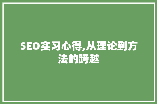 SEO实习心得,从理论到方法的跨越