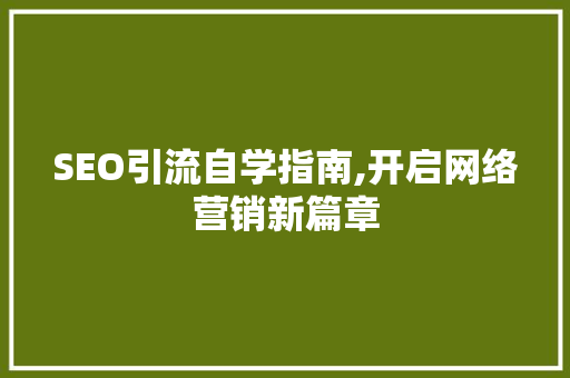 SEO引流自学指南,开启网络营销新篇章