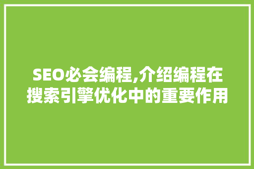 SEO必会编程,介绍编程在搜索引擎优化中的重要作用