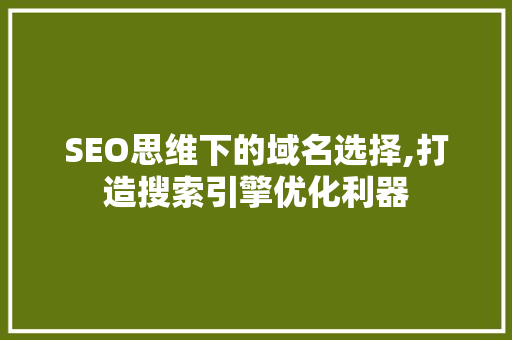 SEO思维下的域名选择,打造搜索引擎优化利器