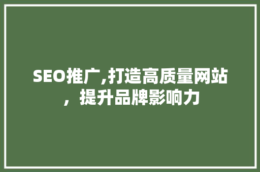 SEO推广,打造高质量网站，提升品牌影响力