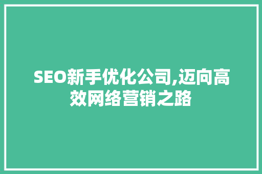SEO新手优化公司,迈向高效网络营销之路