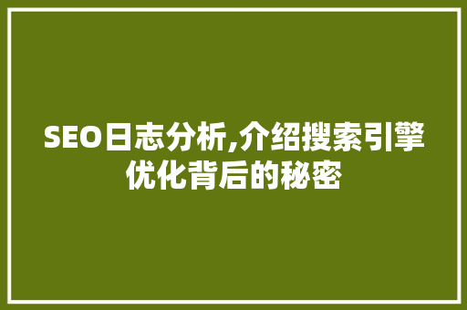 SEO日志分析,介绍搜索引擎优化背后的秘密