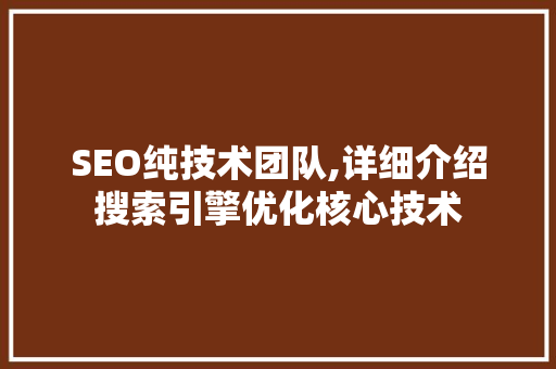 SEO纯技术团队,详细介绍搜索引擎优化核心技术