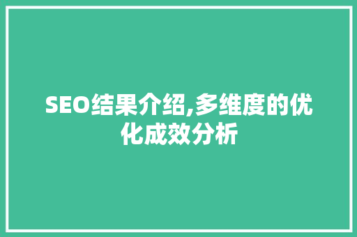 SEO结果介绍,多维度的优化成效分析