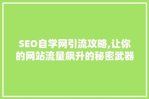 SEO自学网引流攻略,让你的网站流量飙升的秘密武器