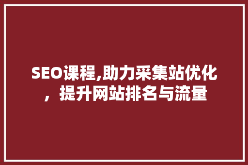 SEO课程,助力采集站优化，提升网站排名与流量