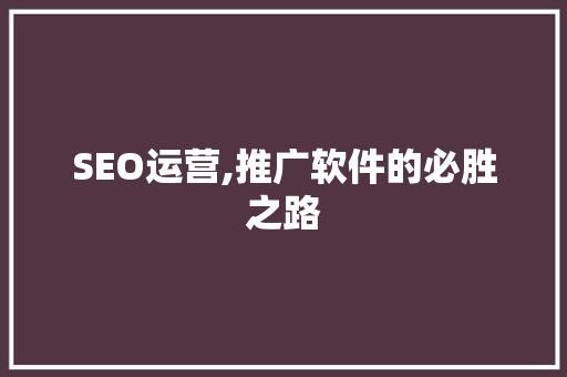 SEO运营,推广软件的必胜之路