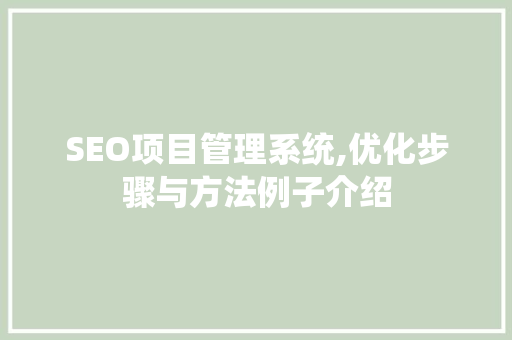 SEO项目管理系统,优化步骤与方法例子介绍