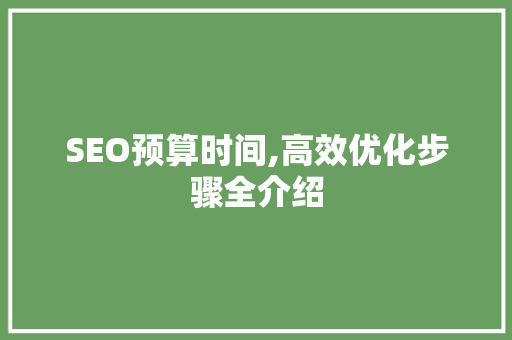 SEO预算时间,高效优化步骤全介绍