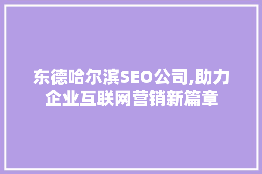 东德哈尔滨SEO公司,助力企业互联网营销新篇章