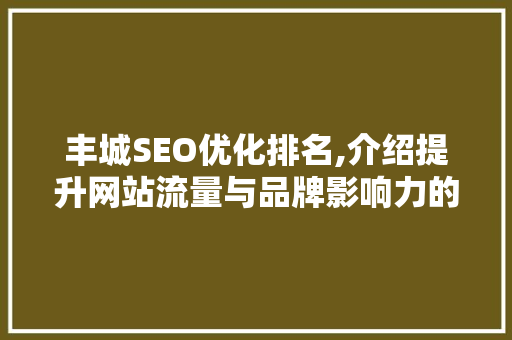 丰城SEO优化排名,介绍提升网站流量与品牌影响力的方法