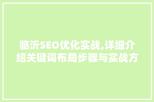 临沂SEO优化实战,详细介绍关键词布局步骤与实战方法