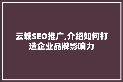 云城SEO推广,介绍如何打造企业品牌影响力