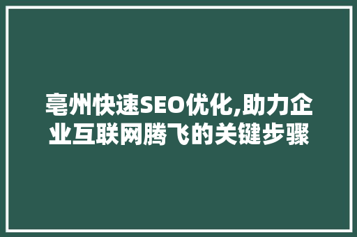 亳州快速SEO优化,助力企业互联网腾飞的关键步骤