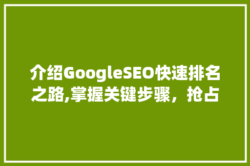 介绍GoogleSEO快速排名之路,掌握关键步骤，抢占搜索引擎霸主地位