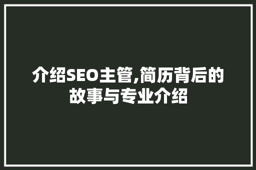 介绍SEO主管,简历背后的故事与专业介绍