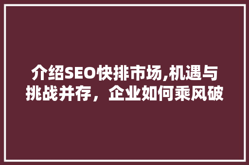 介绍SEO快排市场,机遇与挑战并存，企业如何乘风破浪