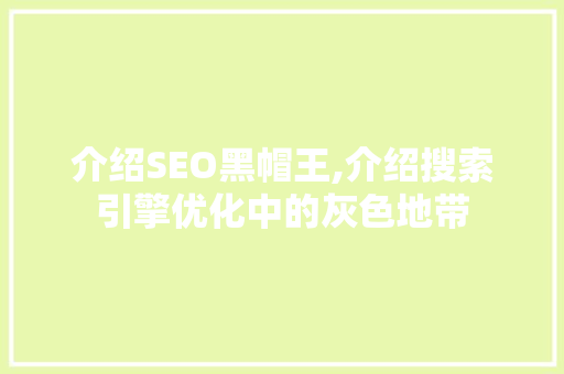 介绍SEO黑帽王,介绍搜索引擎优化中的灰色地带