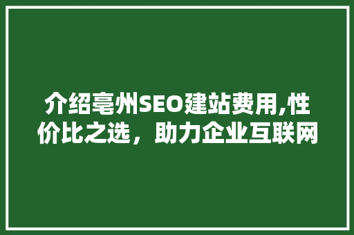 介绍亳州SEO建站费用,性价比之选，助力企业互联网发展
