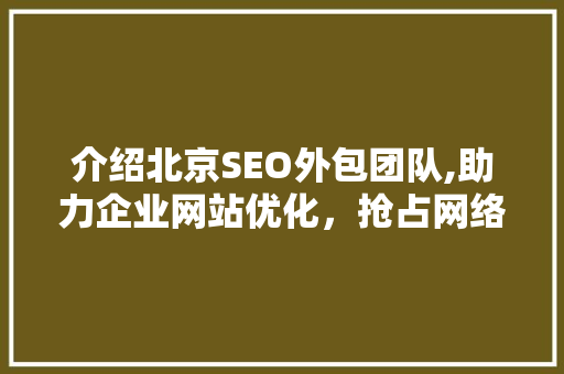 介绍北京SEO外包团队,助力企业网站优化，抢占网络市场先机