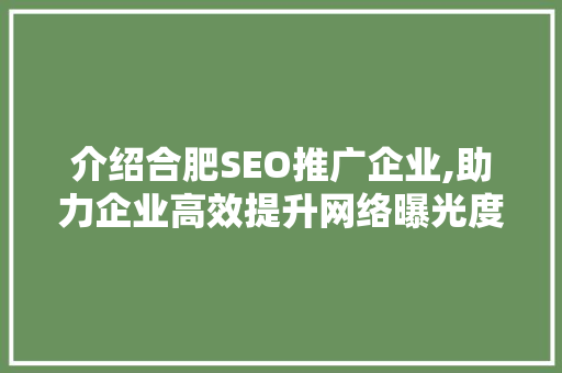 介绍合肥SEO推广企业,助力企业高效提升网络曝光度