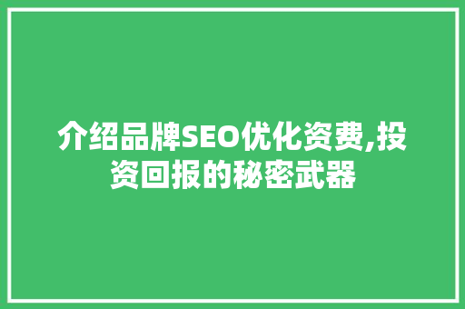 介绍品牌SEO优化资费,投资回报的秘密武器