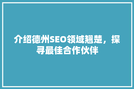 介绍德州SEO领域翘楚，探寻最佳合作伙伴