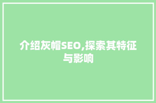 介绍灰帽SEO,探索其特征与影响