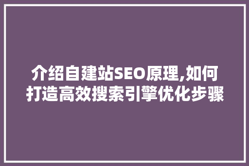 介绍自建站SEO原理,如何打造高效搜索引擎优化步骤