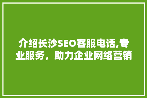 介绍长沙SEO客服电话,专业服务，助力企业网络营销新篇章