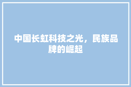 中国长虹科技之光，民族品牌的崛起