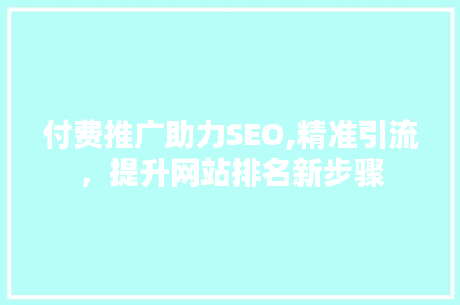付费推广助力SEO,精准引流，提升网站排名新步骤