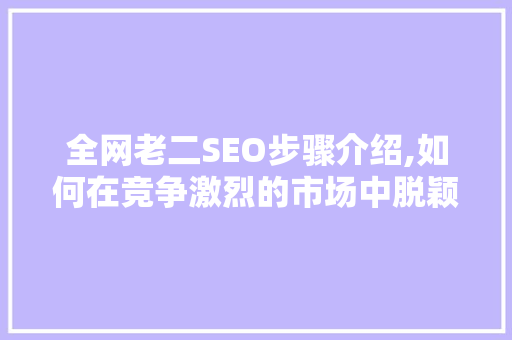 全网老二SEO步骤介绍,如何在竞争激烈的市场中脱颖而出